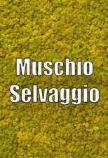 Wild Musk poster