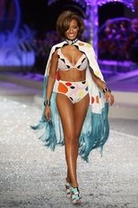 The Victoria’s Secret Fashion Show 2016