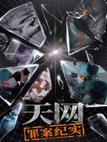 天网：罪案纪实 poster