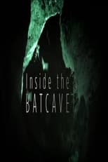 Poster for Inside the Bat Cave 