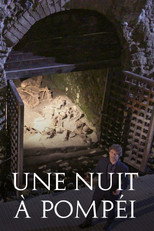 Une nuit &agrave; Pomp&eacute;i