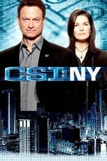 Poster for CSI: NY Season 8
