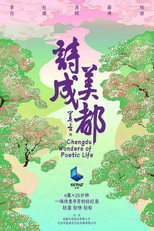 诗美成都 poster