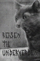 Reisen til Underverden poster