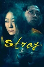 Stray serie streaming