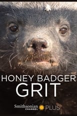 Poster for Honey Badger: Grit 