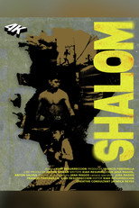 Shalom poster