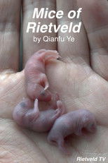 Mice of Rietveld poster