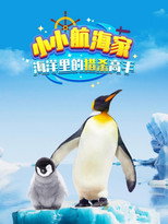 小小航海家海洋里的猎杀高手 poster