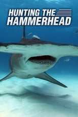 Poster for Hunting the Hammerhead 