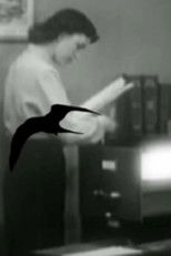 wandering through secret storms