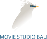 Movie Studio Bali