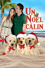 3 amis pour No&euml;l