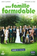 Poster for Une famille formidable Season 14