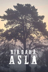 Bir Daha Asla poster