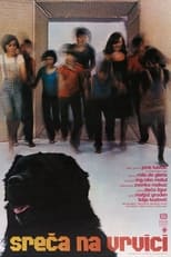 Poster for Hang on, Doggy 