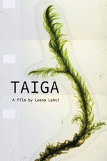 Taiga