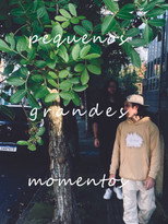 pequenos grandes momentos poster