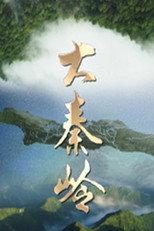 大秦岭 poster