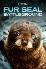 Poster for Fur Seals