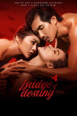 Poster for Bridge of Destiny