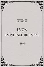 Poster di Lyon : sauvetage de lapins