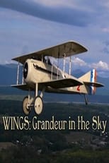 Poster for Wings: Grandeur in the Sky 