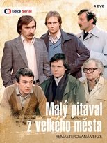 Poster for Malý pitaval z velkého města Season 1