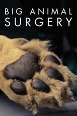 Poster di Big Animal Surgery