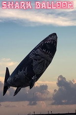 Shark Balloon