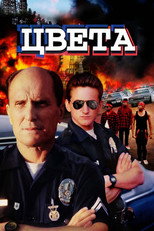 Цвета