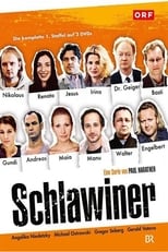 Poster for Schlawiner