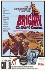 Poster for Brighty of the Grand Canyon