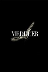 Poster for Meddler