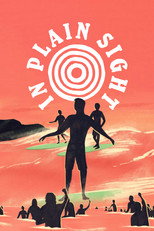 In Plain Sight poster