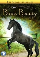 Poster for The New Adventures of Black Beauty Season 2