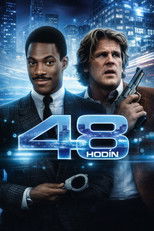 48 hodín