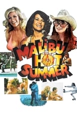 Poster for Malibu Hot Summer 