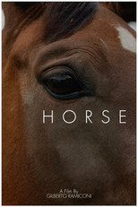 Horse poster