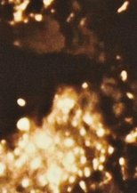 Iro (Colors) Iro (Colors)