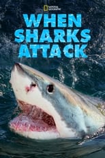 Poster for When Sharks Attack