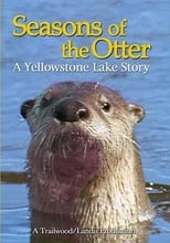 Poster di Seasons of the Otter
