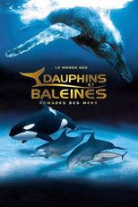 IMAX Dauphins et baleines : Nomades des mers