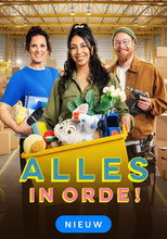 Alles in orde! poster