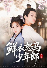 鲜衣怒马少年郎 poster