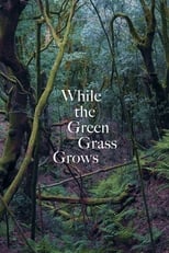 Poster for While the Green Grass Grows 