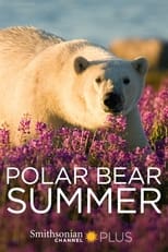 Poster for Polar Bear Summer 