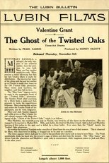 The Ghost of Twisted Oaks poster movie