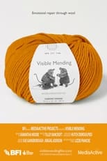 Poster for Visible Mending 