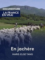 En Jachère